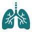 pulmonology